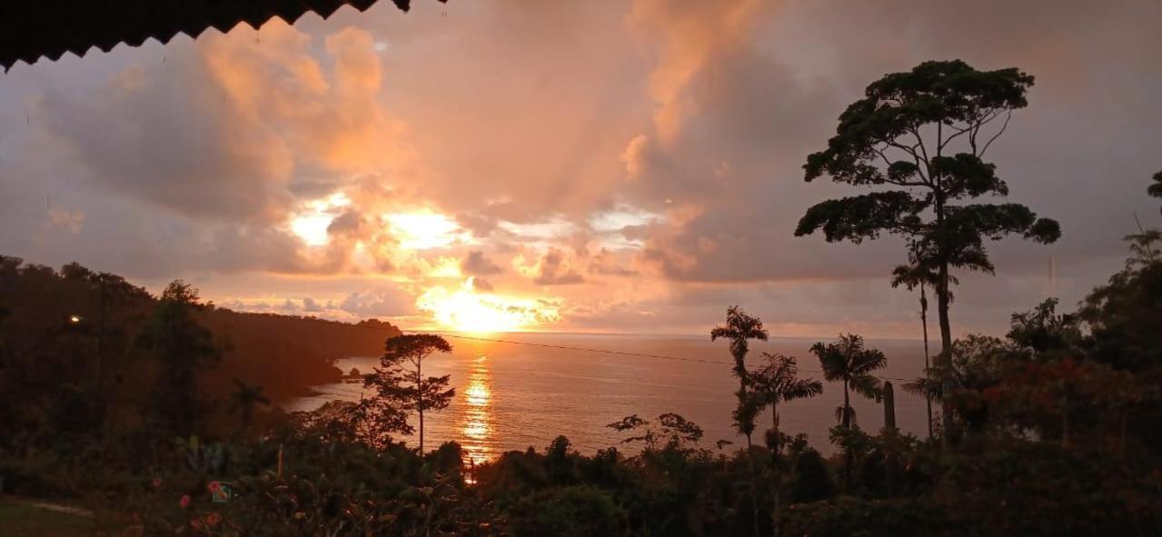 Bella Vista Corcovado Hotel Drake Bay Ngoại thất bức ảnh